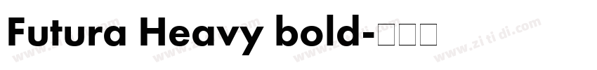 Futura Heavy bold字体转换